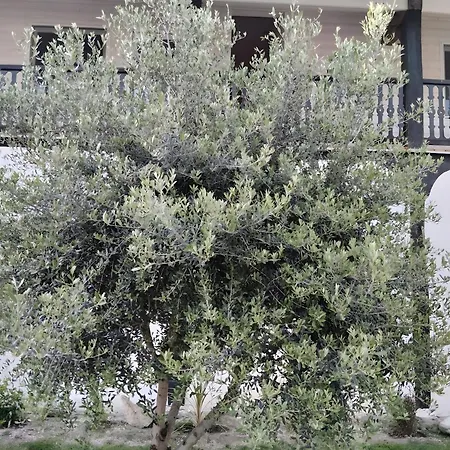 D'hôtes Le Paradis Caché Couette-café 3*