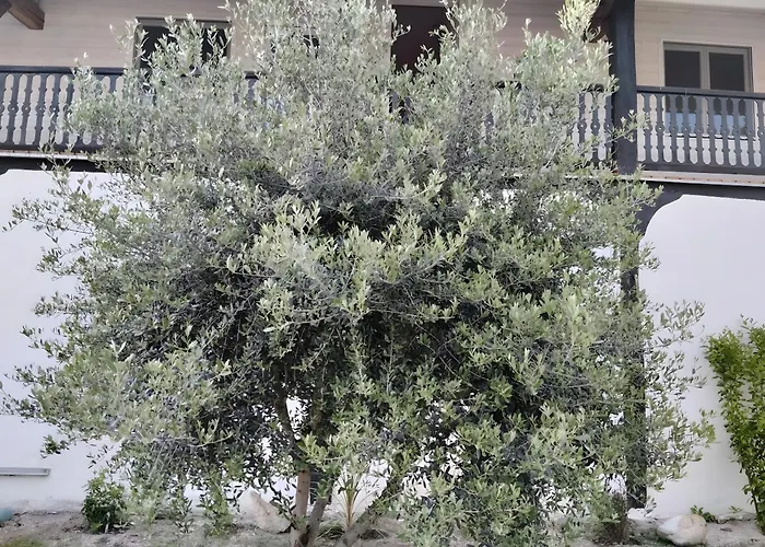 D'hôtes Le Paradis Caché Couette-café 3*